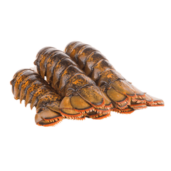 Lobster (Tail)