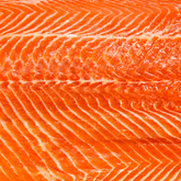 Salmon Fillet