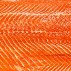Salmon Fillet