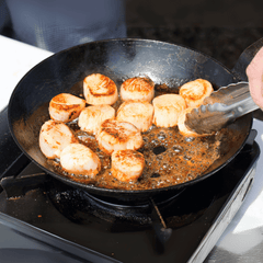Sea Scallops
