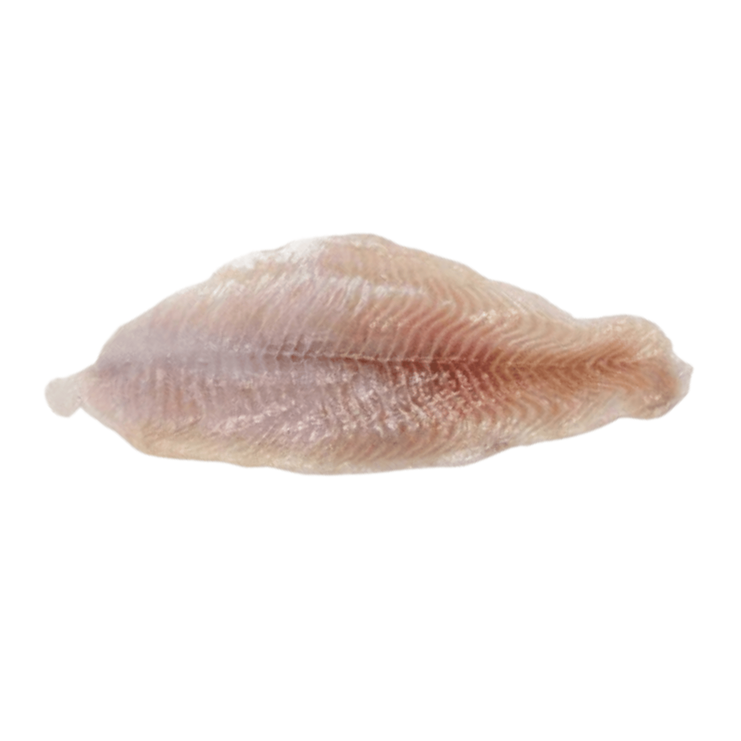 Catfish - 10 Lb Box (USA, Farm)