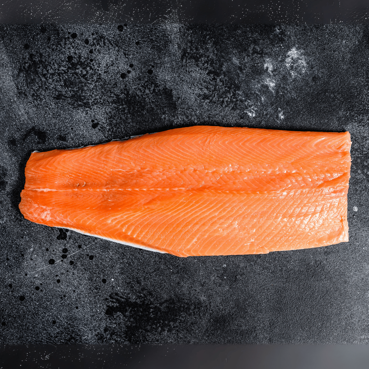 Salmon Fillet