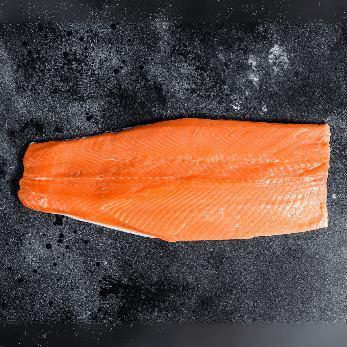 Salmon Fillet
