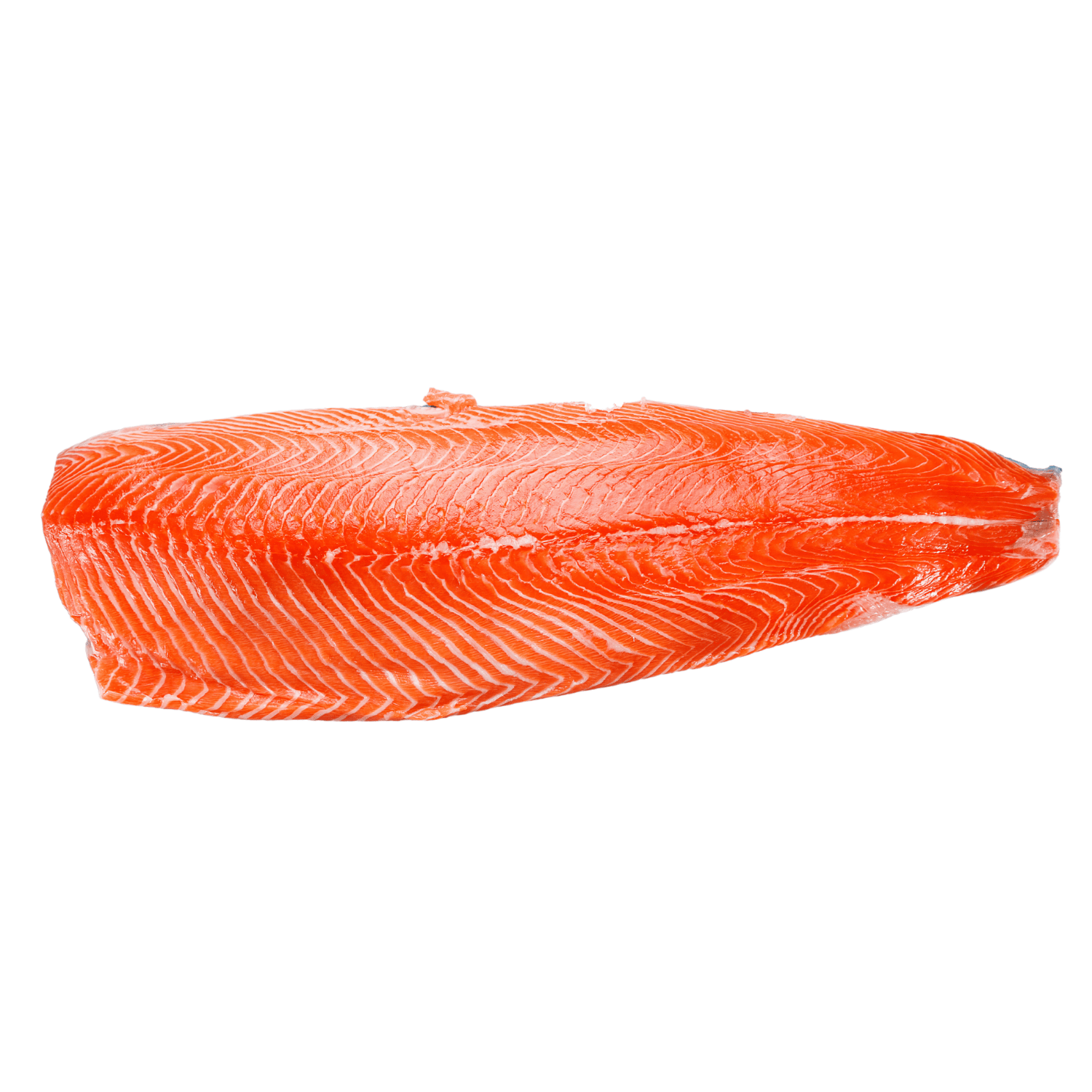 Salmon Fillet