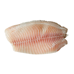 Tilapia